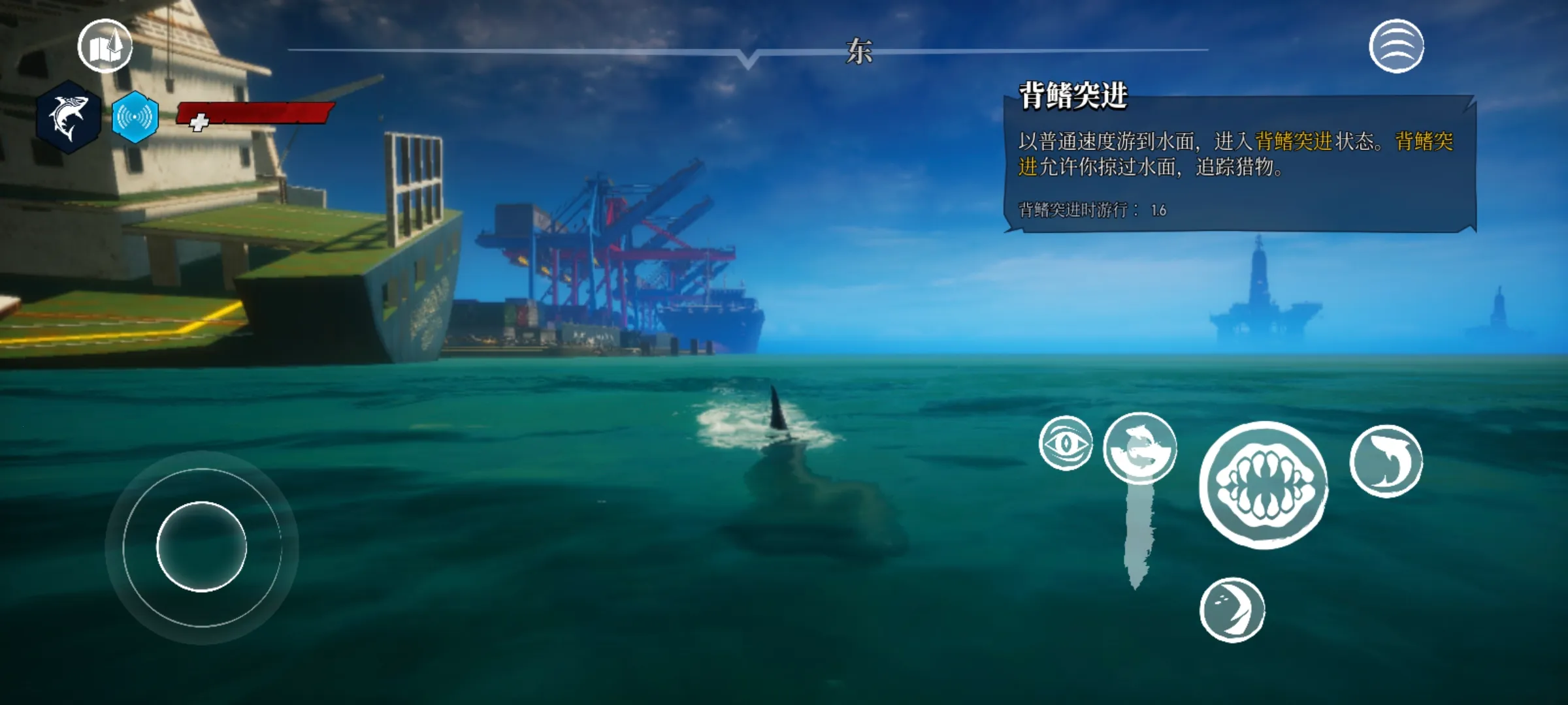 ʳ�������������������