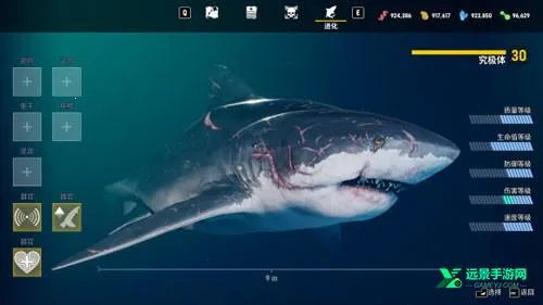 ʳ�������������������