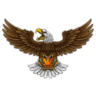 ��ӥTV(Ӱ��׷��ƽ̨)v8.7 ��׿��