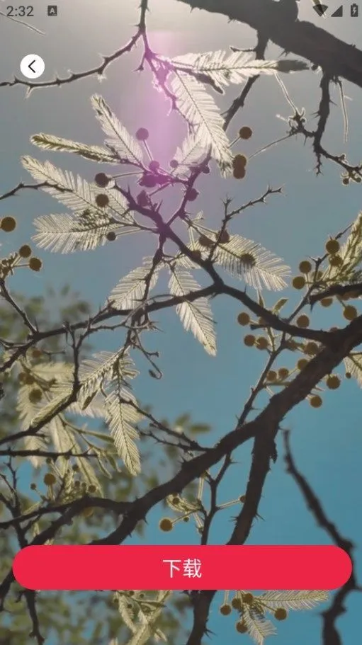 tibni���عٷ�����v1.0.0 ��׿���ͼ