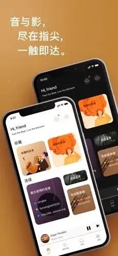 HiFier(���ֲ�������)