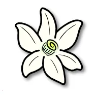 �Ȼ�ģ������׿���ֻ���v2123.3 �ٷ�����