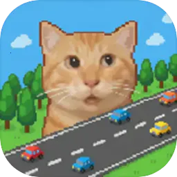 ������Ī��û·�������ֻ���v1.1.1 �ֻ���