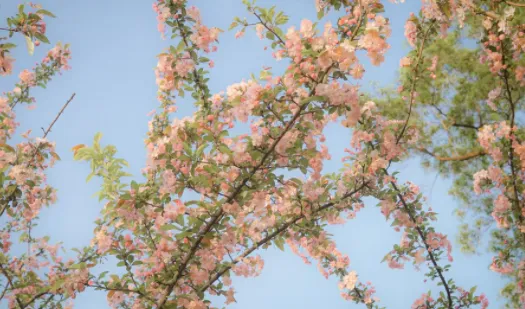 С԰���ٷ���������