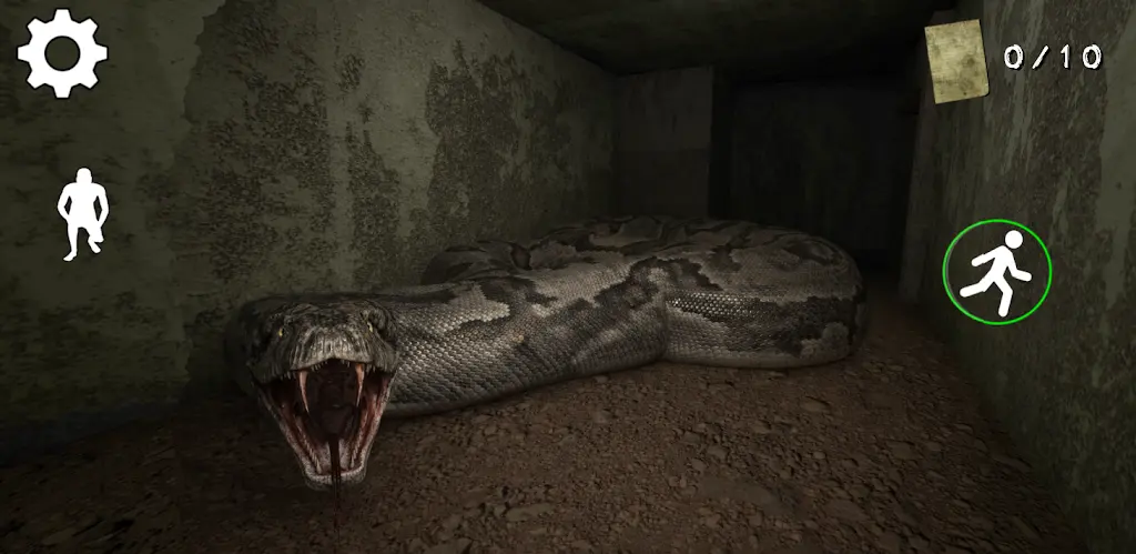 �ֲ������ڹ���2026�ٷ�����v1.1 �ֻ����ͼ