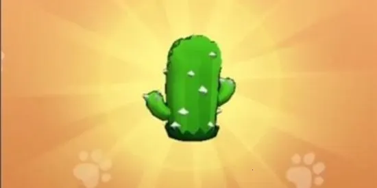 ��Ҫ��װ�����ò˵�