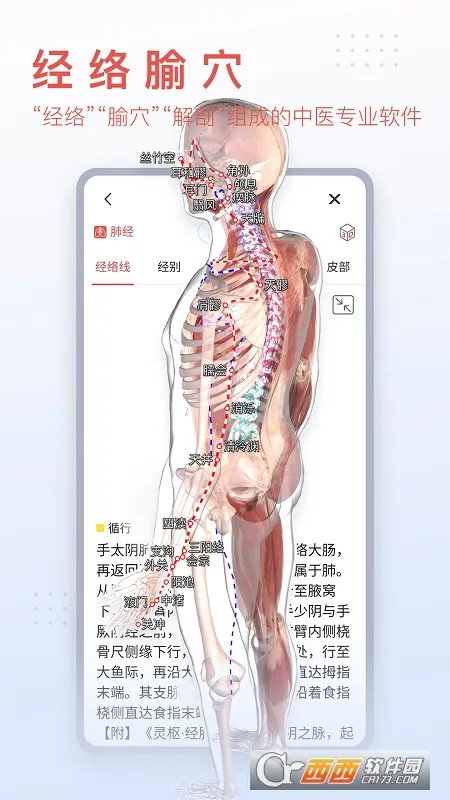 3dbody�������appv8.8.72 �ٷ������ͼ