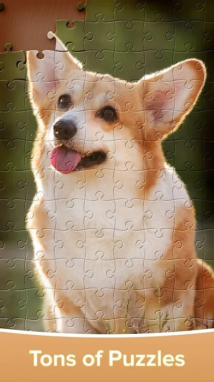 ƴͼ��Ϸ�󴳹�2026���°汾v4.4.16 �ٷ������ͼ