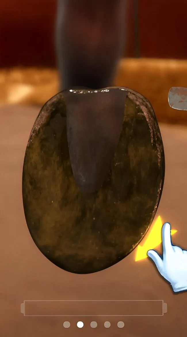 ����Ҳ�������v1.0.0 ��׿���ͼ