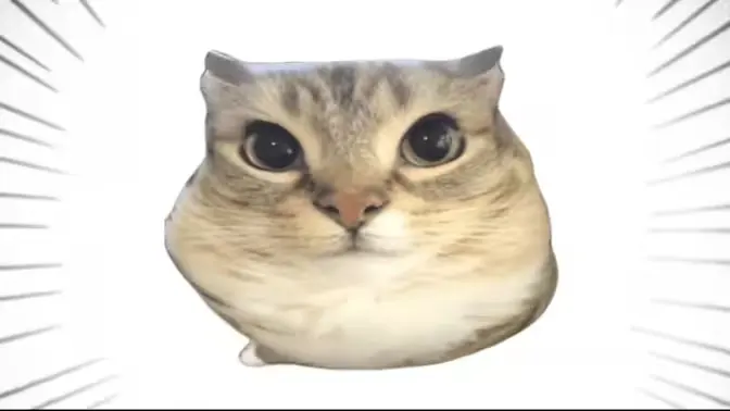 �ͰͲ�һ(�ͰͲ�һƽ̨)v1.0 ��׿���ͼ