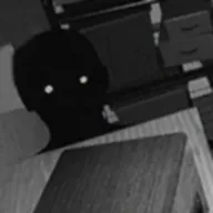 Ѱ��α����������v1.0.1 �ٷ�����