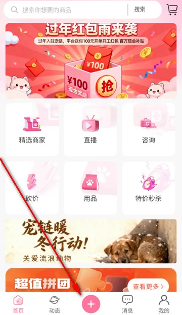 ��������2026���°汾