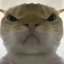 �������ж����󹤾�2026���°汾v1.0 �ֻ���