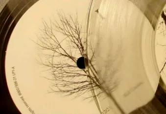 ȫ�����ֲ�����(���ֲ�������)