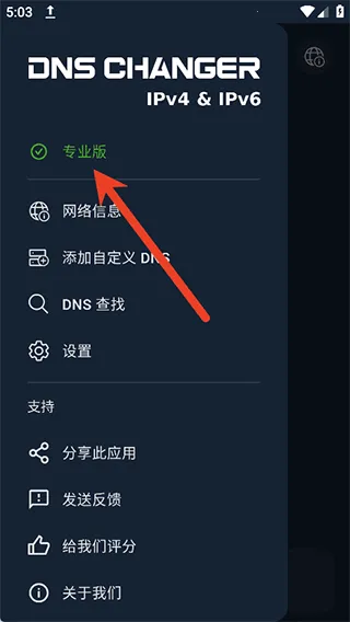 DNS Changer最新手机版 DNS Changer最新手机版