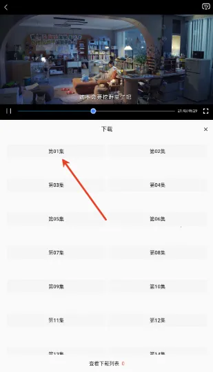 ����(Ӱ�Ӳ�������)