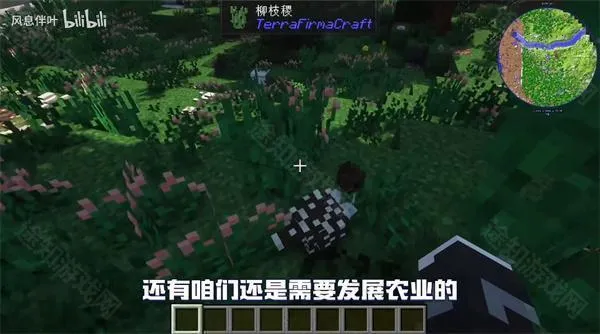 �ҵ�����Ⱥ�ʹ�˵���ϰ�2026�ٷ�����