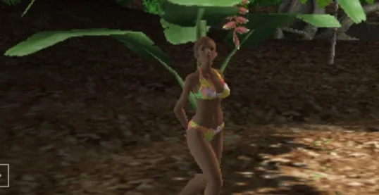 死或生天堂(美少女养成游戏) 死或生天堂(美少女养成游戏)