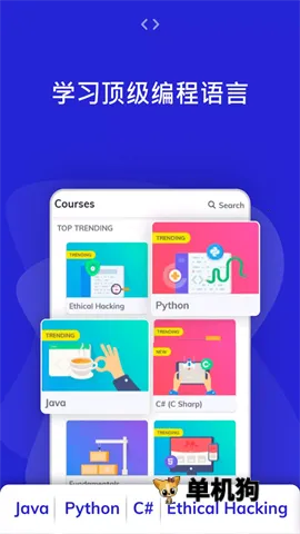 Programming Hub2026���°汾v5.2.56 ��Ѱ��ͼ