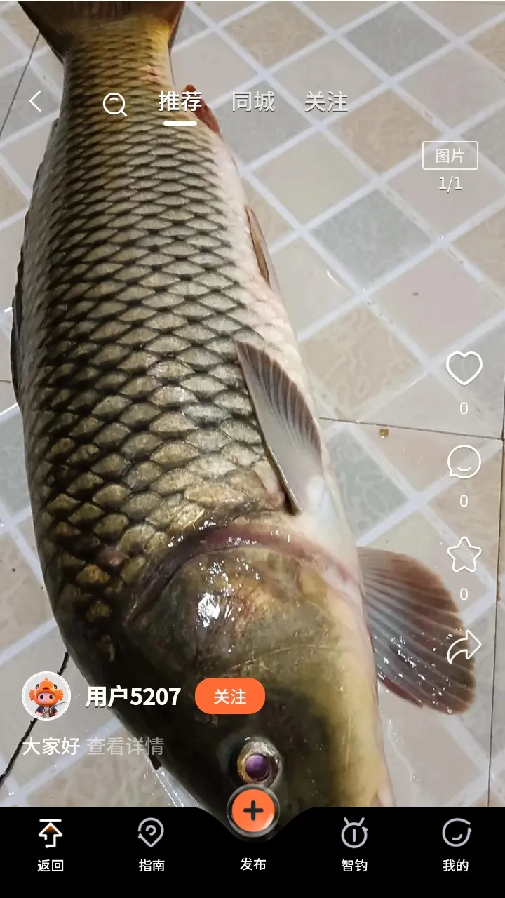 С���㰲׿���ֻ���