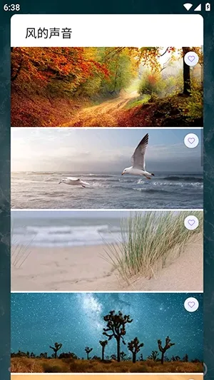 ������������ֻ���