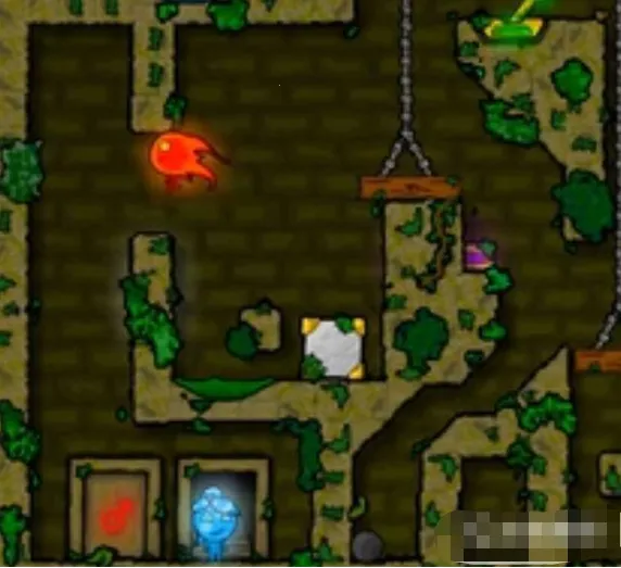 ɭ�ֱ�����8(�����˽�����Ϸ)