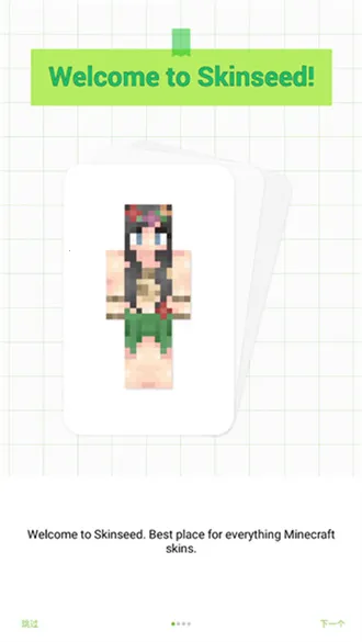 skinseedƤ��������v6.5.22 �ٷ������ͼ