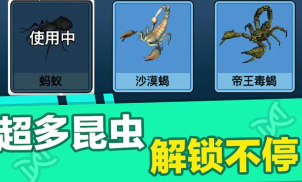 ����������Ҷ�(���������Ϸ)