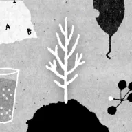 ������2026�ٷ�����v1.51 �ֻ���