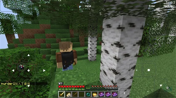 �ҵ����緳��(����ð����Ϸ)v�������� �ֻ����ͼ