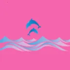 �涯���2026�ٷ�����v1.0.0 �ֻ���