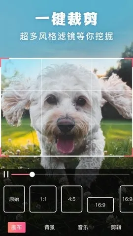 ����picsart��Ƭ�༭2026���ذ�װv19.8.63 ��Ѱ��ͼ