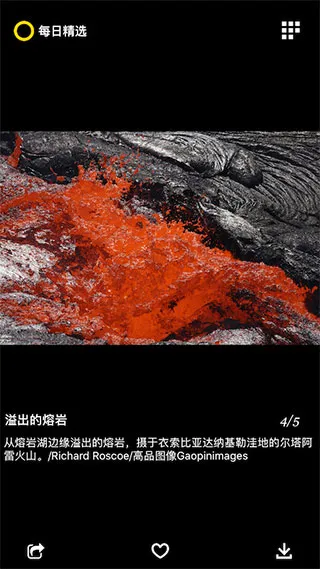 ÿ�վ�ѡ(����Ӱ��չʾ)