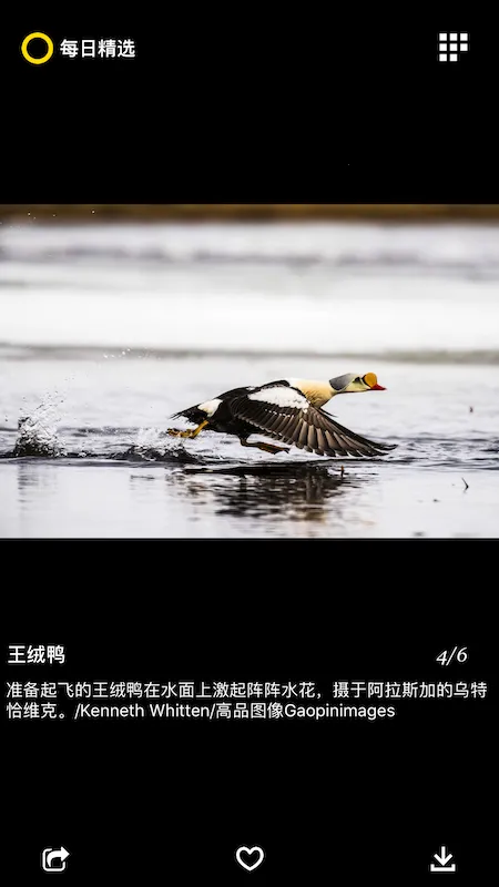 ÿ�վ�ѡ(����Ӱ��չʾ)v3.0.7 ��׿���ͼ