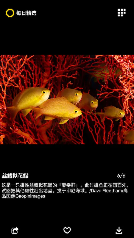 ÿ�վ�ѡ(����Ӱ��չʾ)v3.0.7 ��׿���ͼ