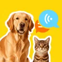 �ȳ�è����ѷ���2026���°汾v1.0.2 �ٷ�����