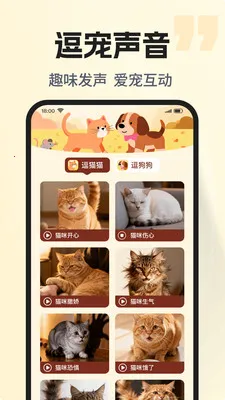 �ȳ�è����ѷ���2026���°汾v1.0.2 �ٷ������ͼ