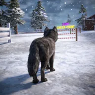 ��ģ���� 3D(��ģ����Ϸ)v1.0.6 ��׿��