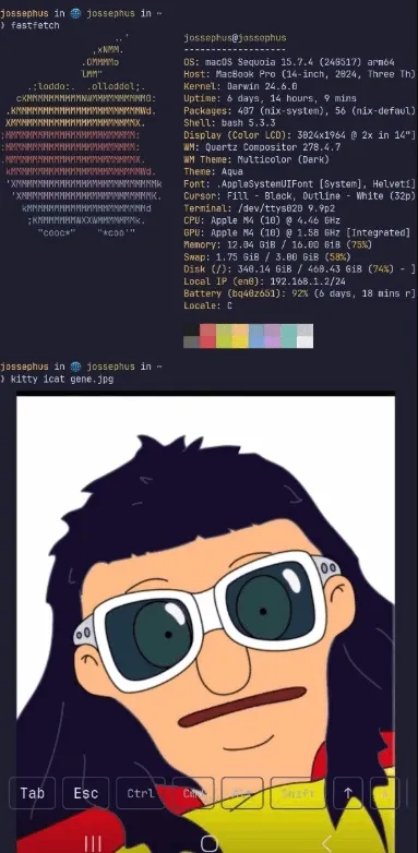 chuchu2026�ٷ�����