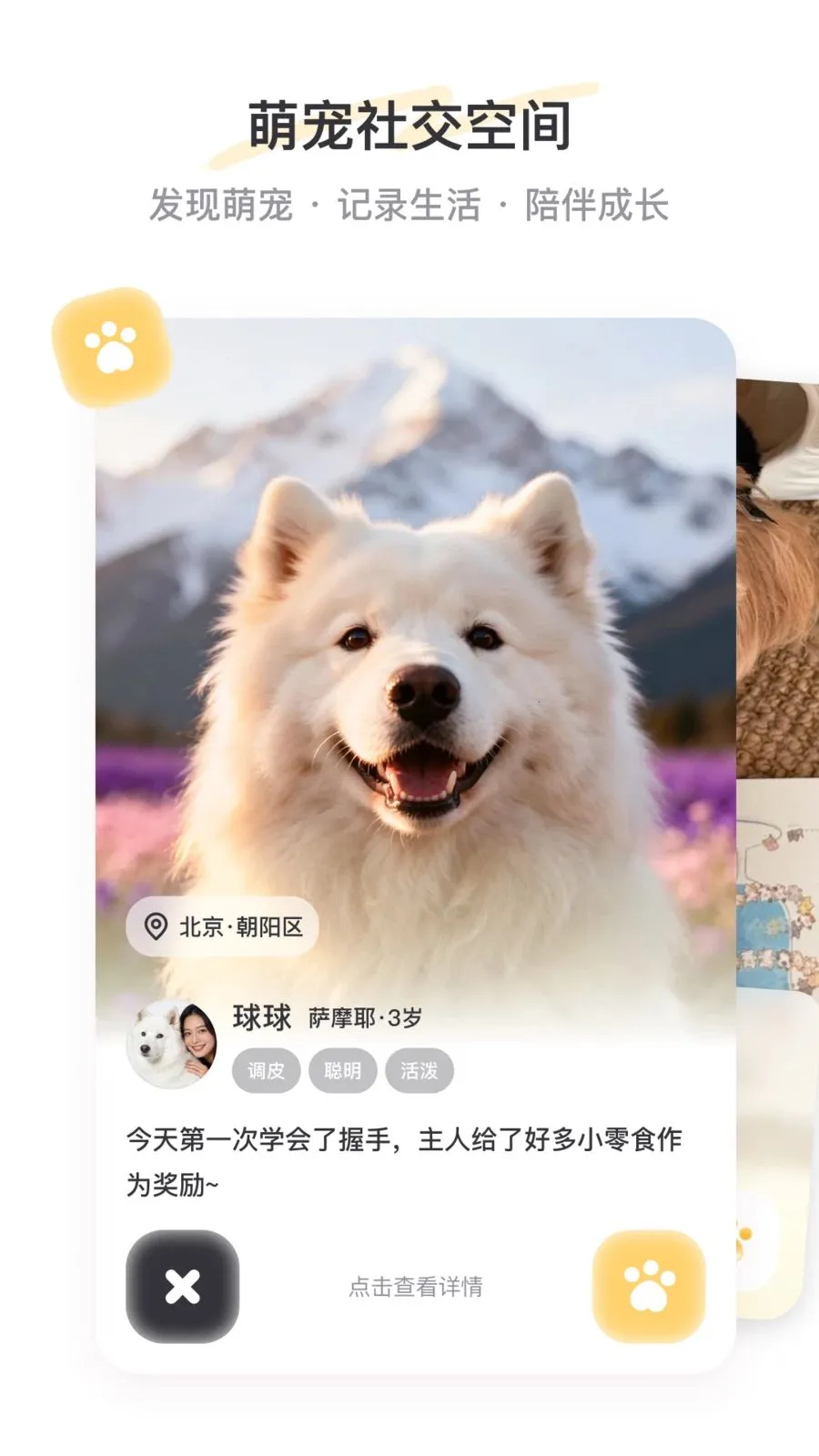 PetSpace(�ȳ��罻ƽ̨)v1.0 �ֻ����ͼ