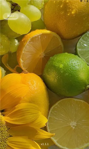 �����ջ�(�������ַ���ƽ̨)v1.1.6 �ֻ����ͼ