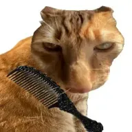 ��è��ë(��è��ë��Ϸ)v1.0 �ٷ�����