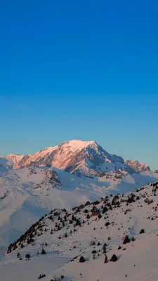 RawPix(��ֽ��Դƽ̨)v1.4.18 ��׿���ͼ