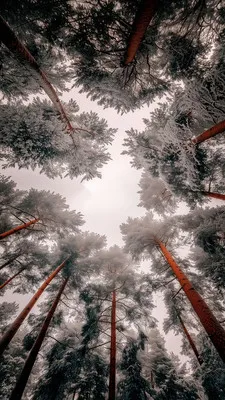 RawPix(��ֽ��Դƽ̨)v1.4.18 ��׿���ͼ