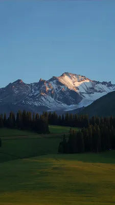 RawPix(��ֽ��Դƽ̨)v1.4.18 ��׿���ͼ