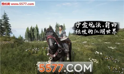 �����尲׿���ֻ���