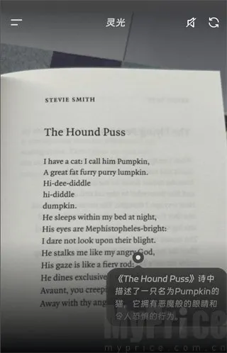 ���AI��������