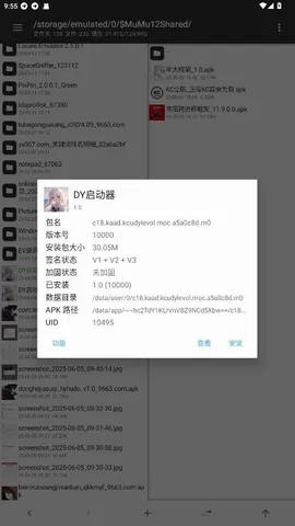 DY������2026�ٷ����°汾v1.0 �ٷ������ͼ