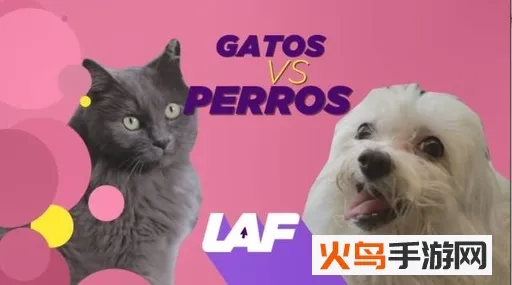 猫言狗语翻译(宠物语言交流器) 猫言狗语翻译(宠物语言交流器)