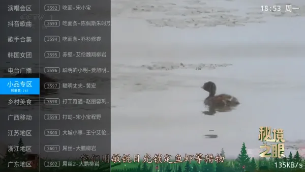 飞扬直播